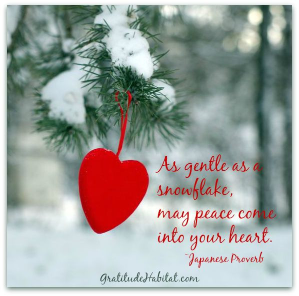 Christmas Peace Quotes
 1000 Merry Christmas Wishes Quotes on Pinterest