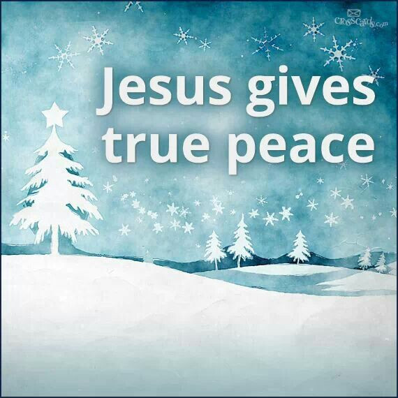 Christmas Peace Quotes
 Holiday Peace Quotes QuotesGram