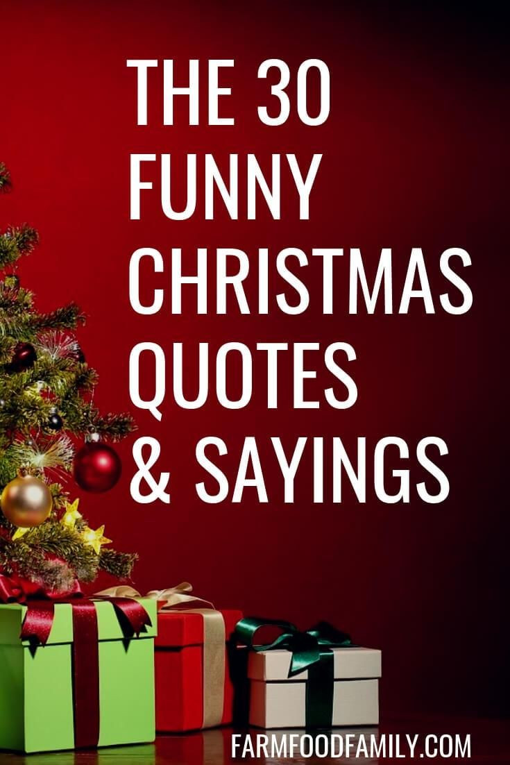 Christmas Pictures And Quotes
 30 Funny Christmas Quotes & Sayings That Make You Laugh