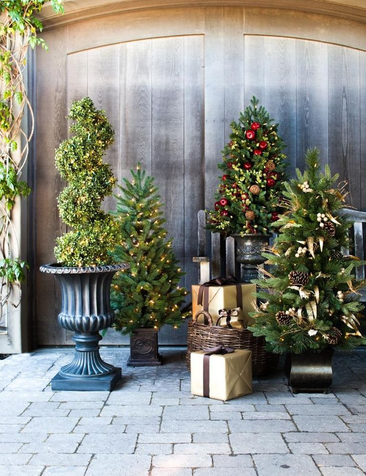 Christmas Porch Trees
 30 best images about Topiary Trees on Pinterest