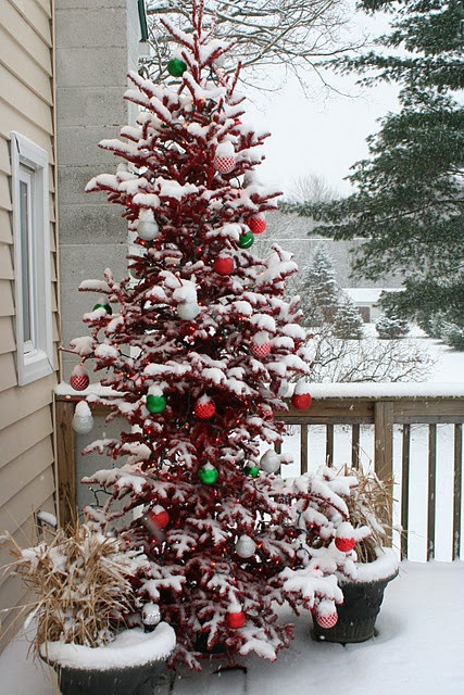 Christmas Porch Trees
 The Primitive Pinecone staff LOVES the idea of decorating