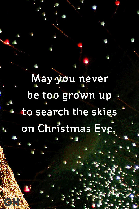 Christmas Seasonal Quotes
 38 Best Christmas Quotes of All Time Festive Holiday Sayings