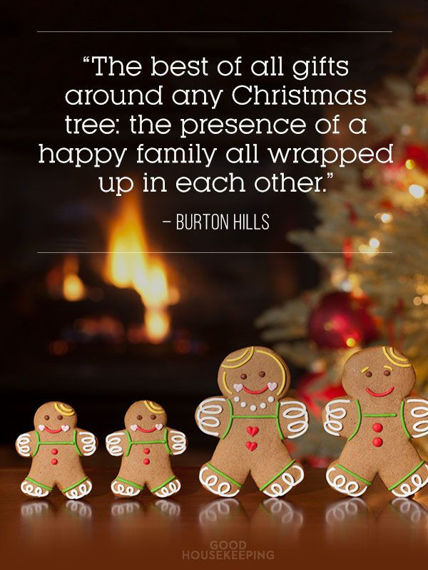 Christmas Seasonal Quotes
 christmas quotes family