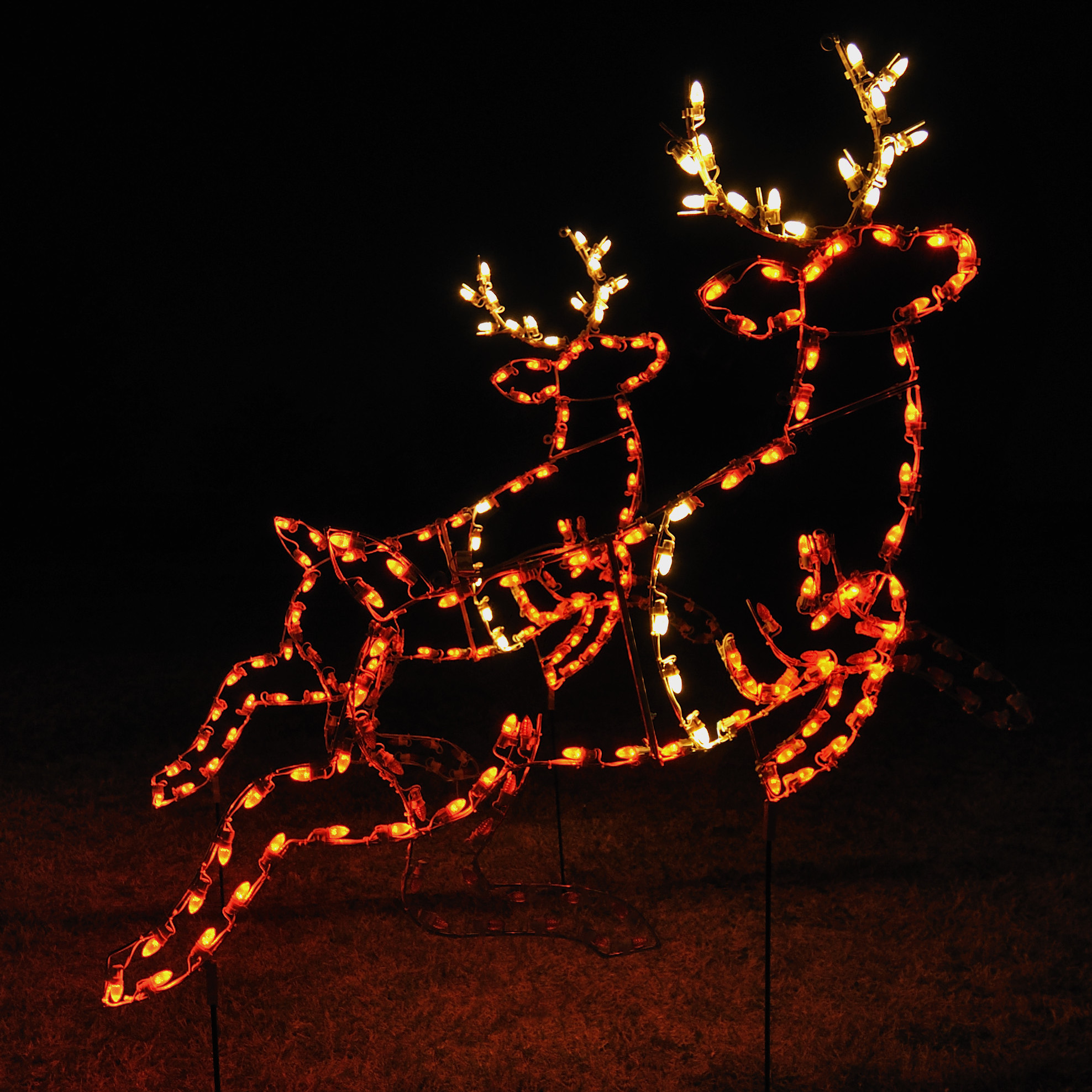 Christmas Spotlights Outdoor
 18 Amazing Outdoor Christmas Light Displays Style Motivation