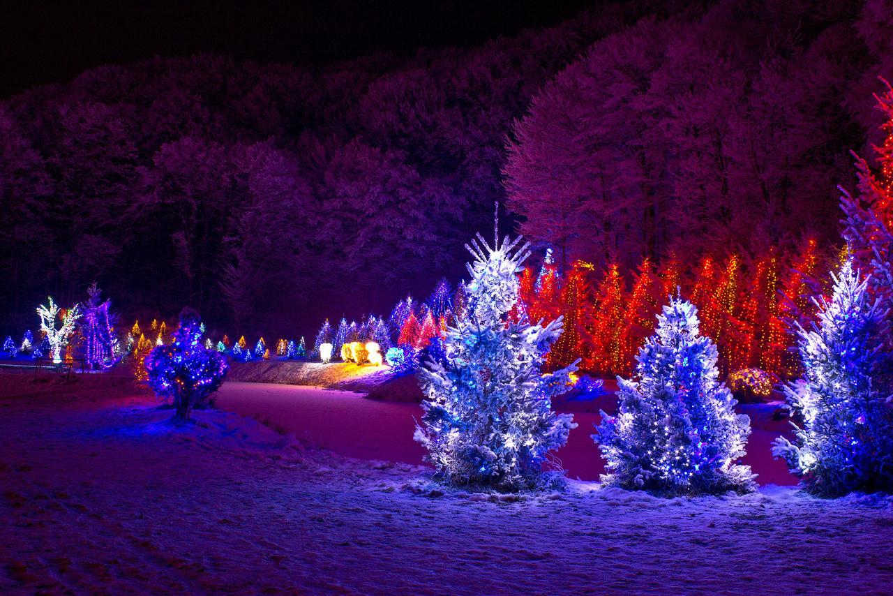 Christmas Spotlights Outdoor
 Outdoor Christmas Trees