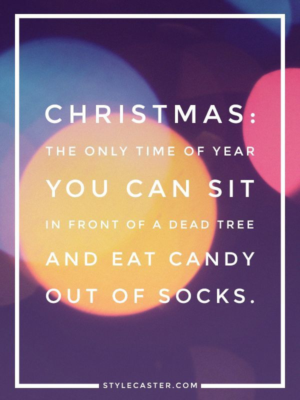 Christmas Time Quotes
 1000 Funny Holiday Quotes on Pinterest