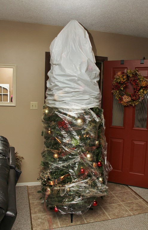 Christmas Tree Cover For Storage
 saran wrapped Christmas tree