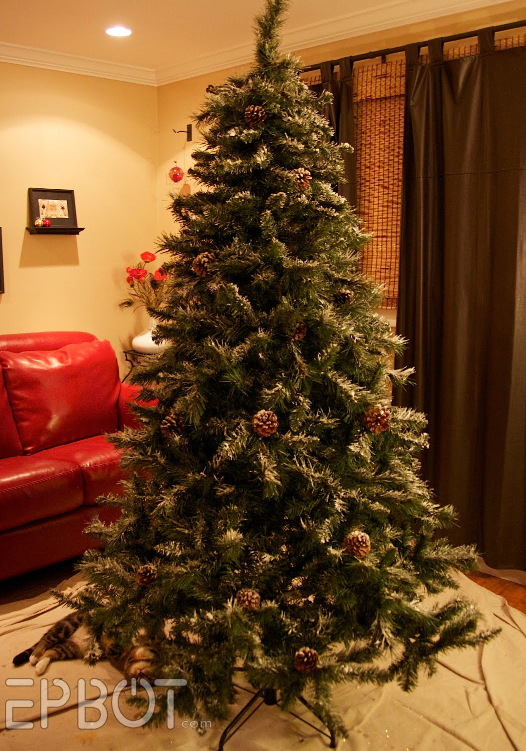 Christmas Tree DIY
 EPBOT DIY Upgrade For Your Christmas Tree