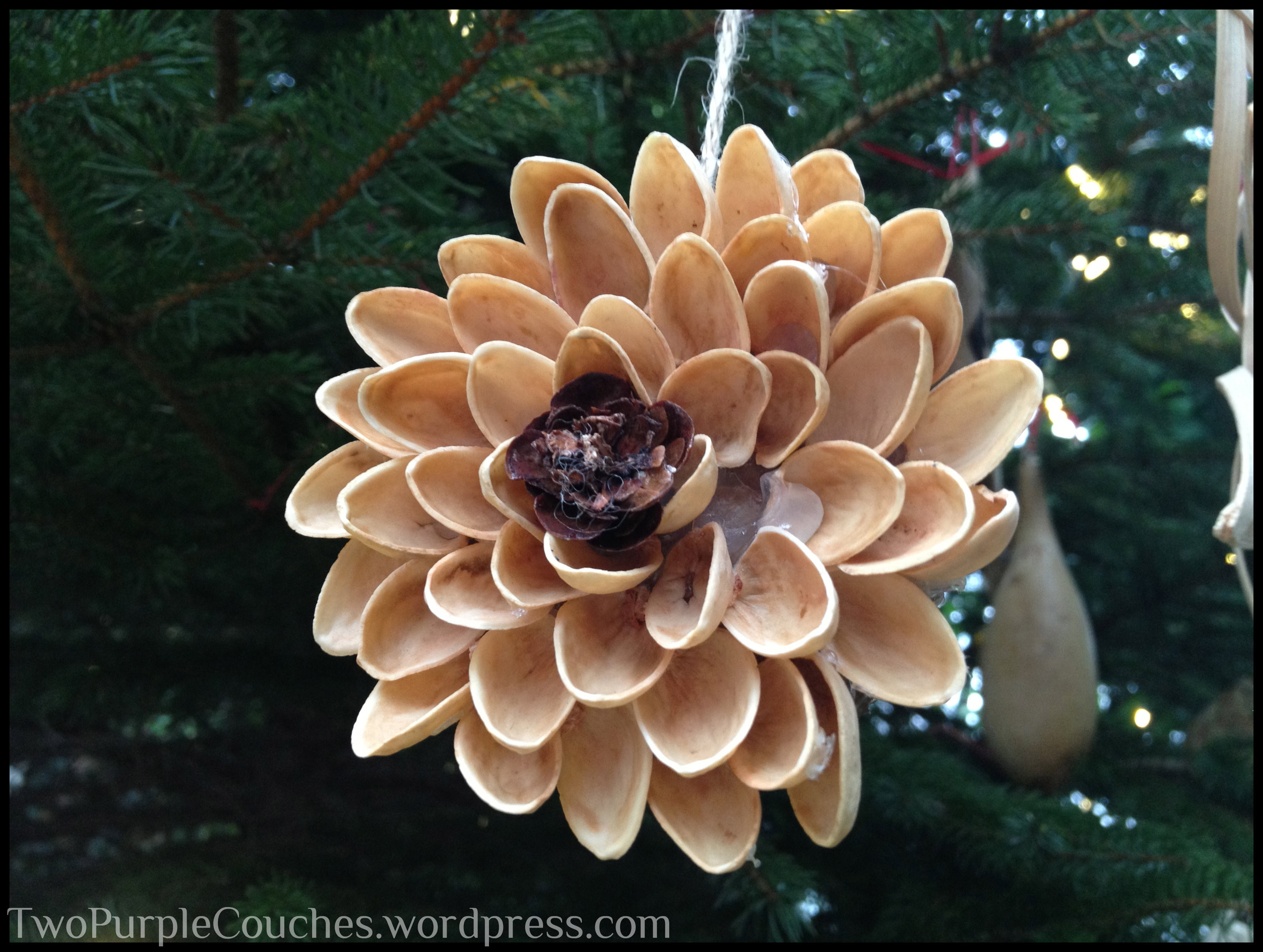 Christmas Tree Flower Ornaments
 Holiday Traditions Krohn Conservatory Pointsettia & Train
