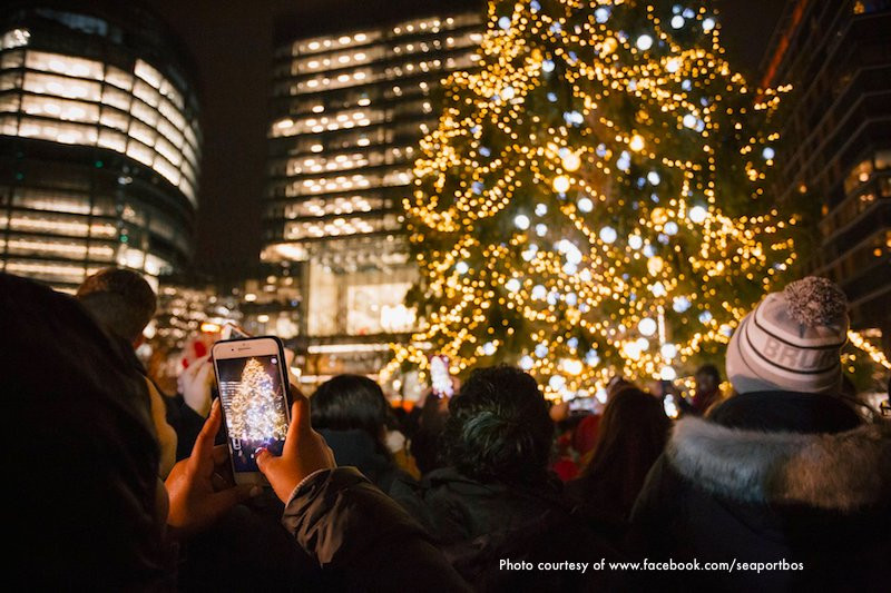 Christmas Tree Lighting 2019
 Boston Christmas Tree Lighting Events Schedule 2019