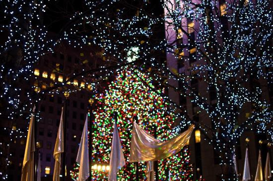 Christmas Tree Lighting 2019 Nyc
 Rockefeller Center Christmas Tree New York City 2019