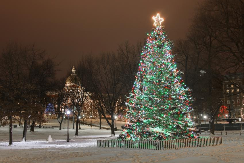 Christmas Tree Lighting Boston
 The Ultimate Guide To Christmas In Boston