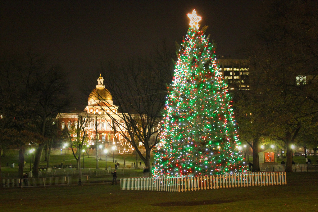 Christmas Tree Lighting Boston
 Boston mon Tree Lighting [12 05 13]