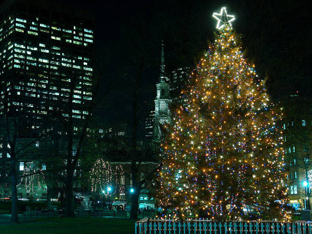 Christmas Tree Lighting Boston
 8 Places to See Boston Christmas Lights and Decorations