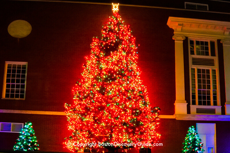 Christmas Tree Lighting Boston
 Boston Christmas Tree Lighting Events Schedule 2019