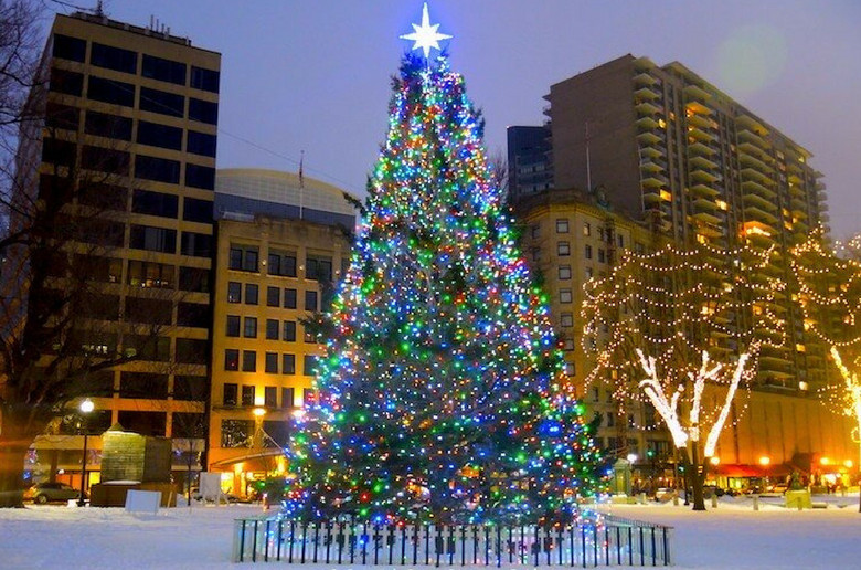 Christmas Tree Lighting Boston
 L I G H T IT UP Holiday TIME FINE ⋆ Sweet & Masālā