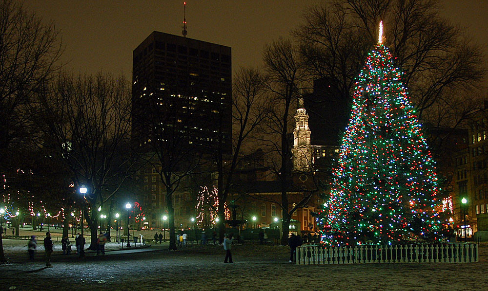 Christmas Tree Lighting Boston
 Boston Christmas Shopping Guide Robert Paul Properties
