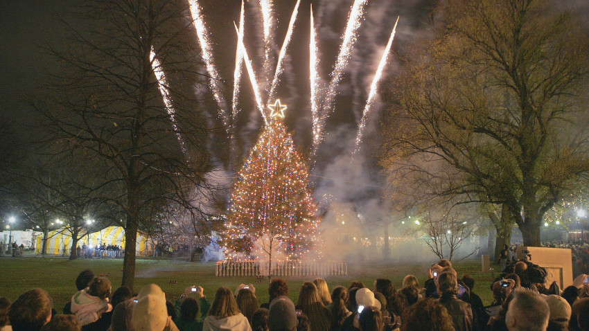 Christmas Tree Lighting Boston
 Why Nova Scotia gives Boston its Christmas tree for free