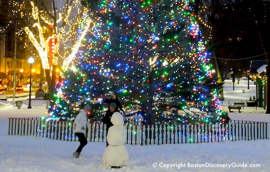 Christmas Tree Lighting Boston
 Best Things to Do in Boston in December 2016