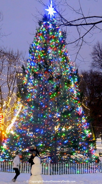 Christmas Tree Lighting Boston
 Boston Christmas Tree Lighting Events Schedule 2018