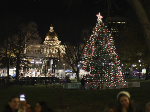 Christmas Tree Lighting Boston
 Lighting of monwealth Avenue Mall and Boston mon
