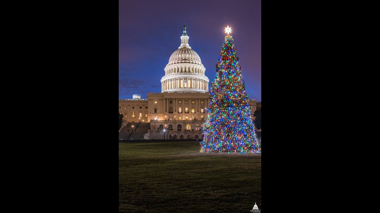 Christmas Tree Lighting Ceremony
 2017 United States Capitol Christmas Tree Lighting