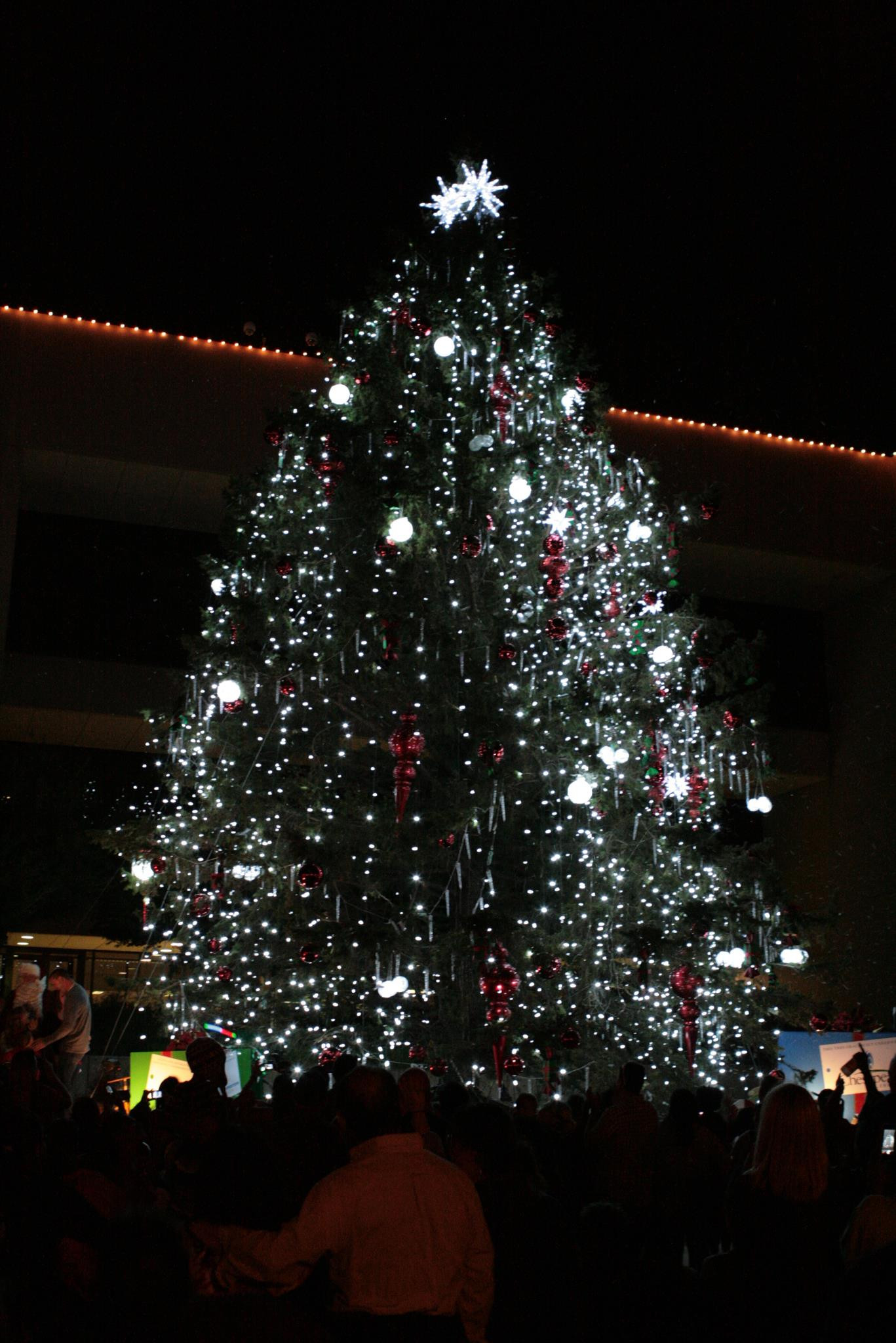 Christmas Tree Lighting Ceremony
 Arlington Christmas Tree Lighting Ceremony