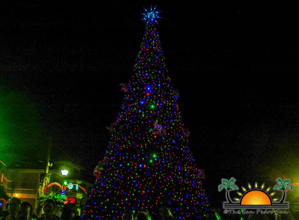 Christmas Tree Lighting Ceremony
 San Pedro counts down to Christmas with tree lighting