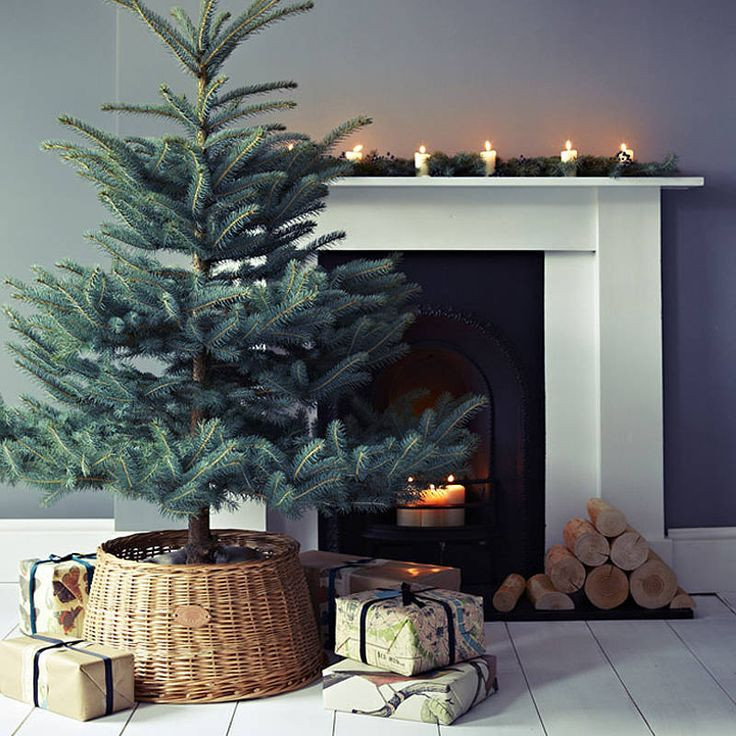 Christmas Tree Next To Fireplace
 Wicker Christmas tree skirt 6 next to a fireplace