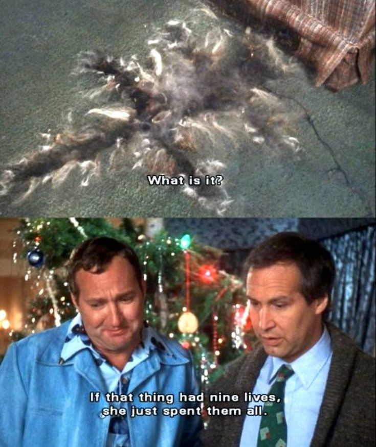 Christmas Vacation Movie Quotes
 341 best images about The Greatest Movie Ever made on