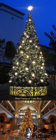 Commercial Outdoor Christmas Decorations
 mercial Christmas Decorations on Pinterest