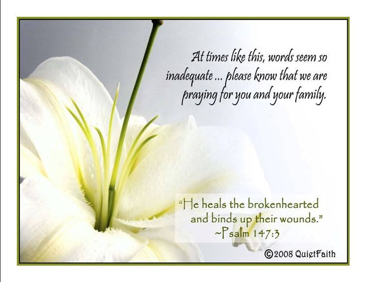 Condolences Quotes For Loss Of Family
 79 best images about GRIEF SYMPATHY on Pinterest