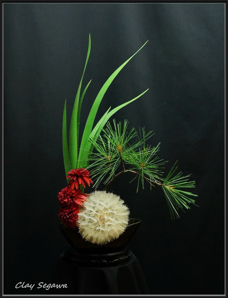 Contemporary Christmas Flower Arrangements
 1000 ideas about Modern Flower Arrangements on Pinterest