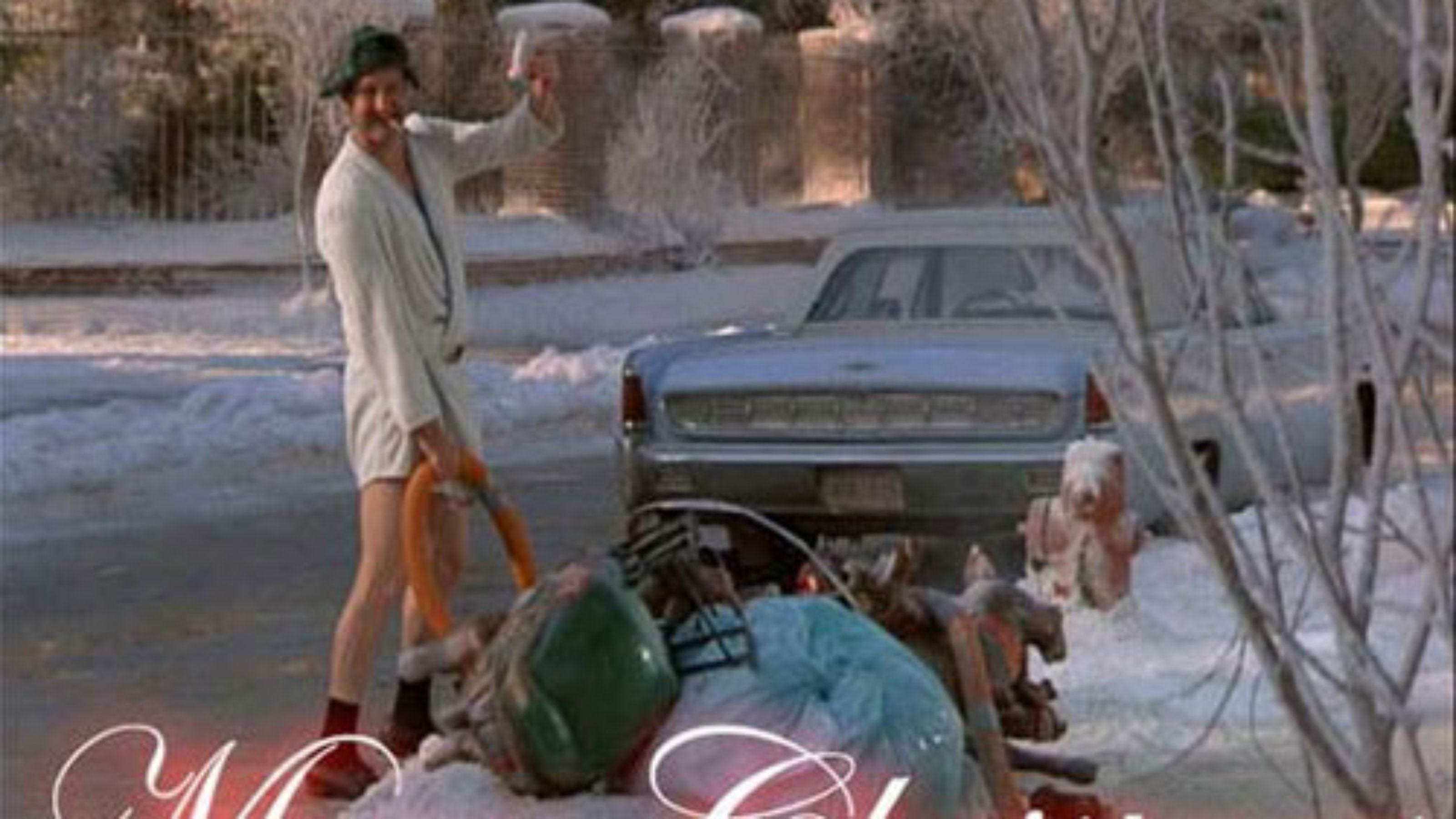 Cousin Eddie Christmas Vacation Quotes
 Vacation Movie Cousin Ed Quotes QuotesGram