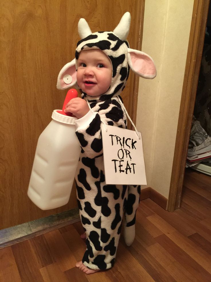 Cow Costume DIY
 Best 25 Cow halloween costume ideas on Pinterest