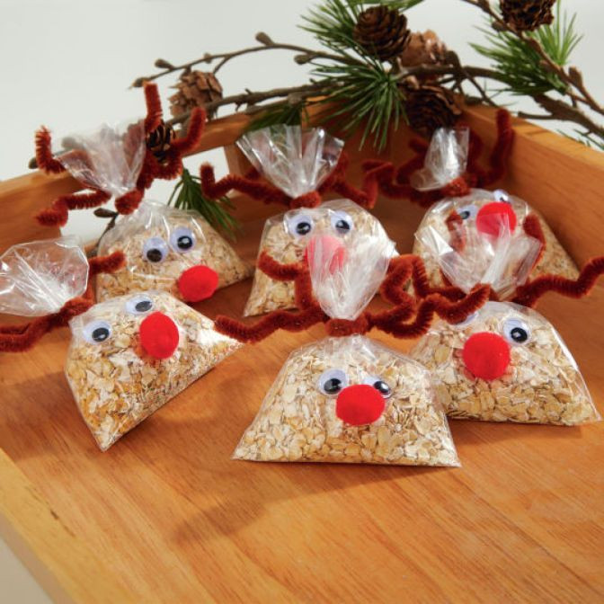 Craft Ideas For Christmas Gifts
 DIY Reindeer Food for Christimas Eve