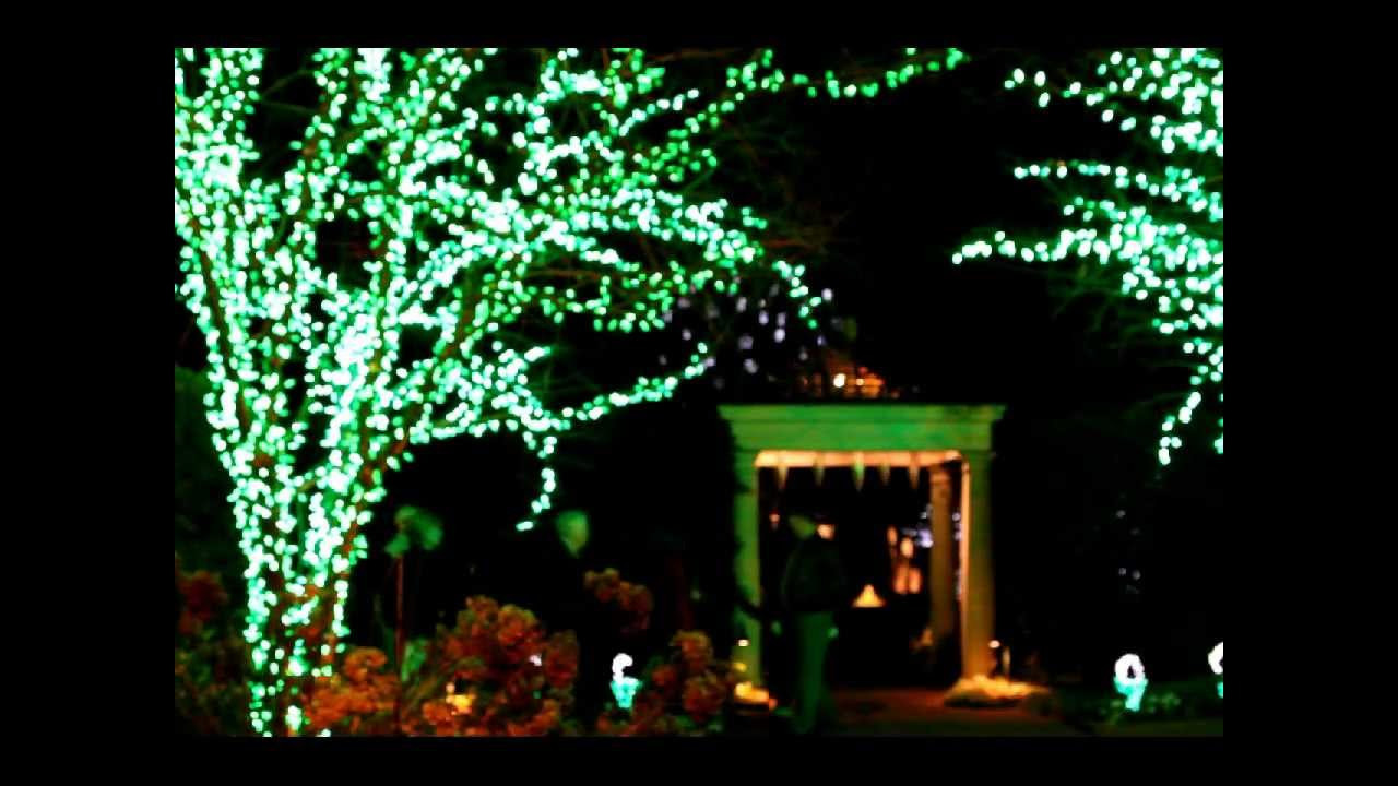 Daniel Stowe Botanical Garden Christmas
 Daniel Stowe Botanical Garden Holiday Lights 12 17 2011