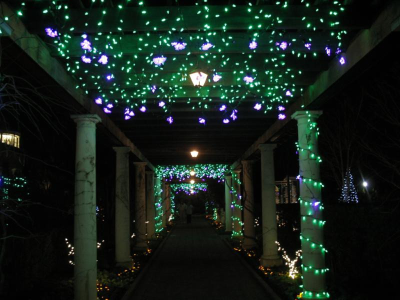 Daniel Stowe Botanical Garden Christmas
 The Best Christmas Lights Display in Charlotte NC