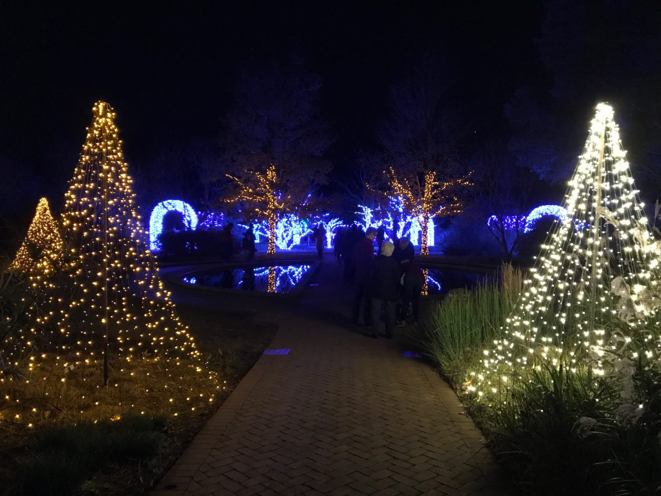 Daniel Stowe Botanical Garden Christmas
 Daniel Stowe Botanical Garden s holiday light display is