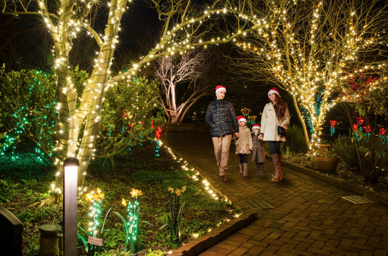 Daniel Stowe Botanical Garden Christmas
 16 festive holiday events in Charlotte Charlotte Agenda