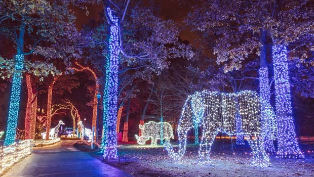 Detroit Christmas Tree Lighting 2019
 Detroit Zoo Wild Lights Tickets Contest