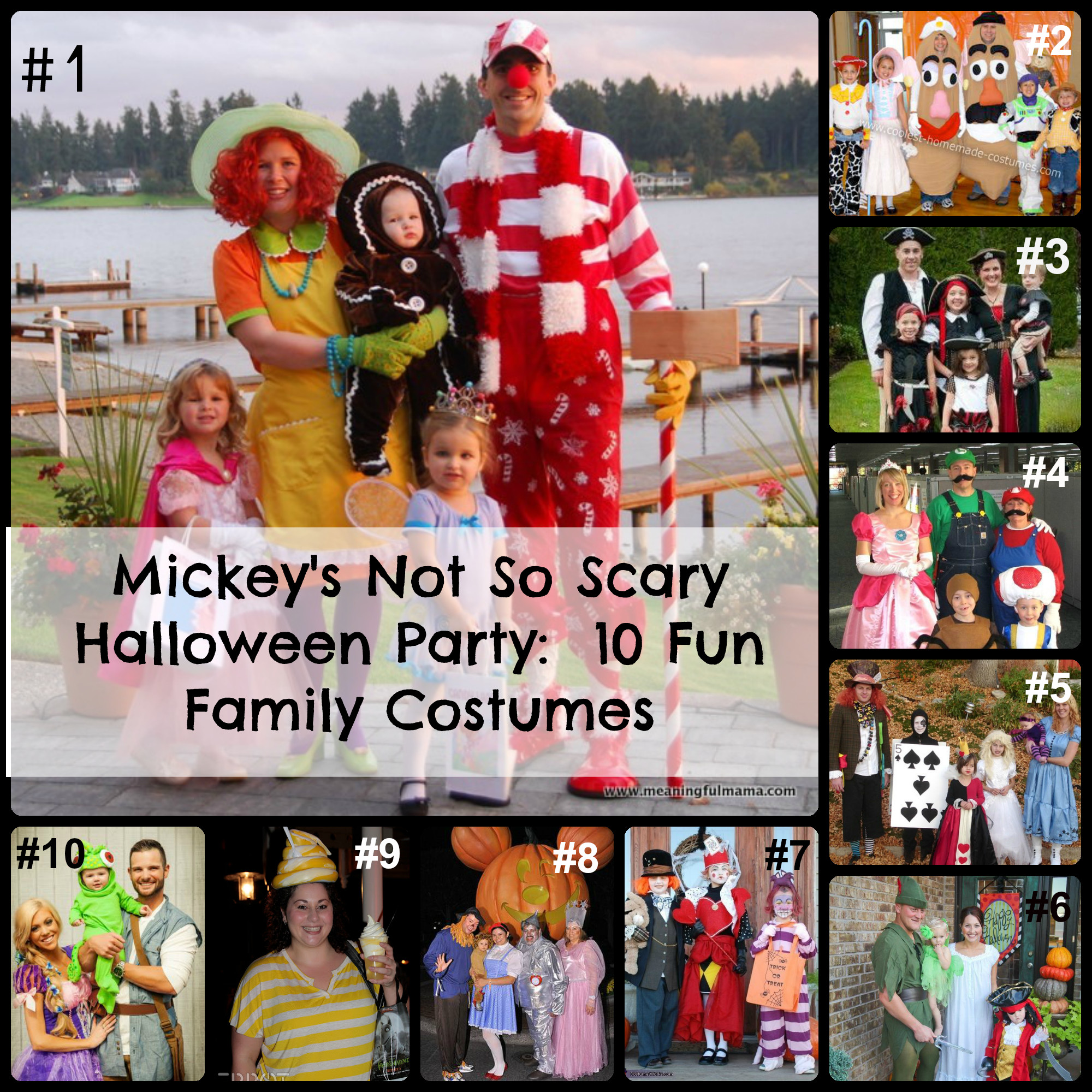 Disney Halloween Party Costume Ideas
 Mickey’s Not So Scary Halloween Party is one of the most