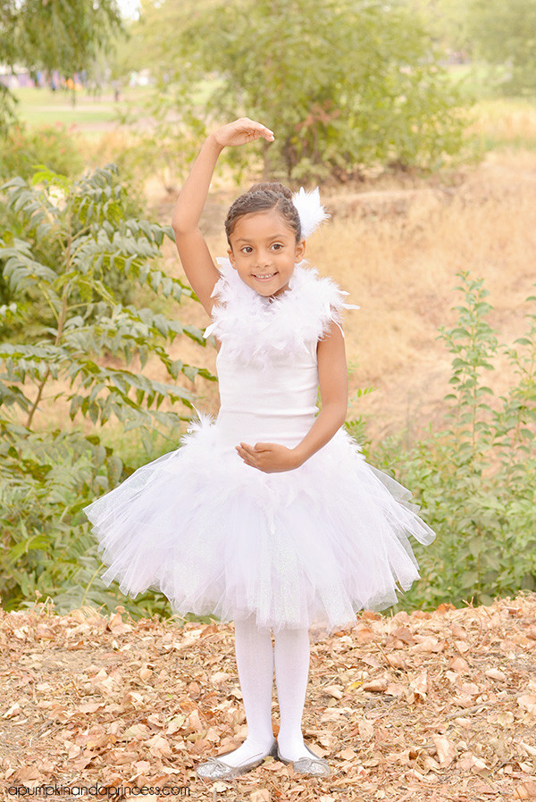 DIY Ballerina Costume
 DIY White Swan Costume A Pumpkin And A Princess