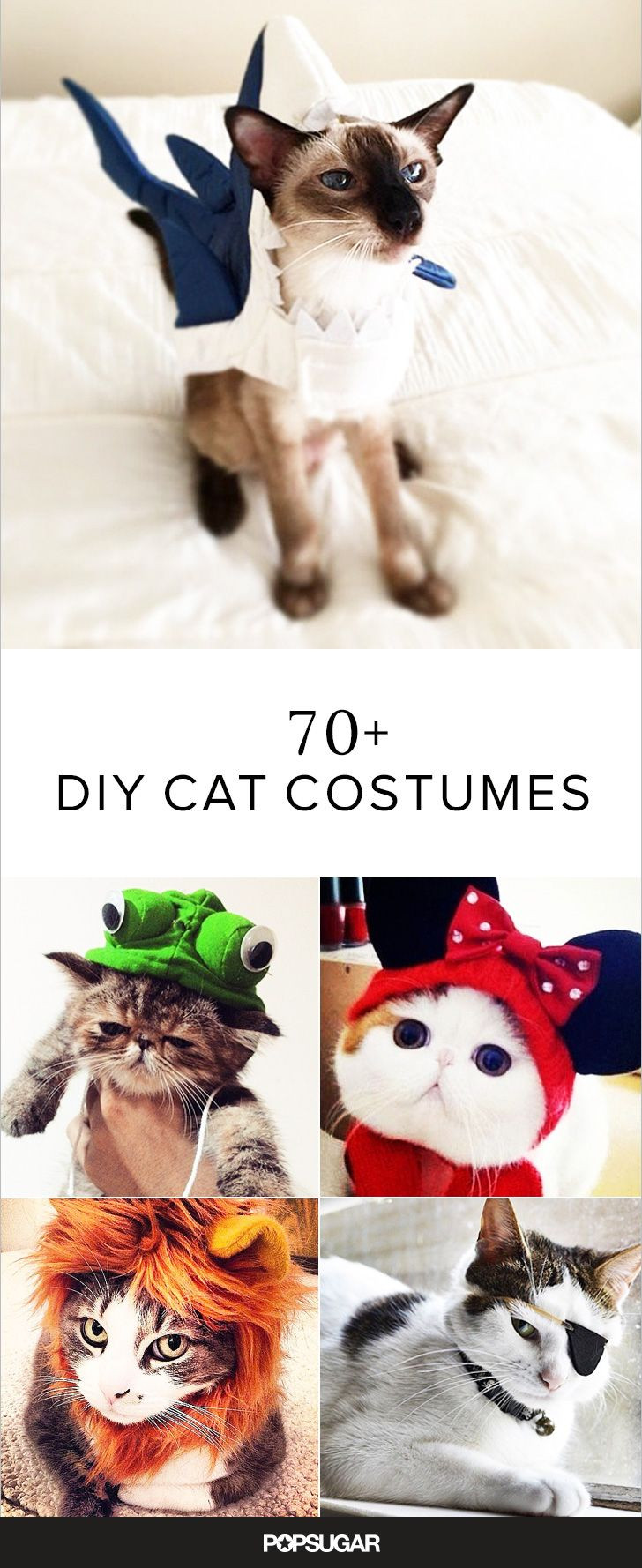 DIY Cat Halloween Costume
 17 Best ideas about Diy Cat Costume on Pinterest