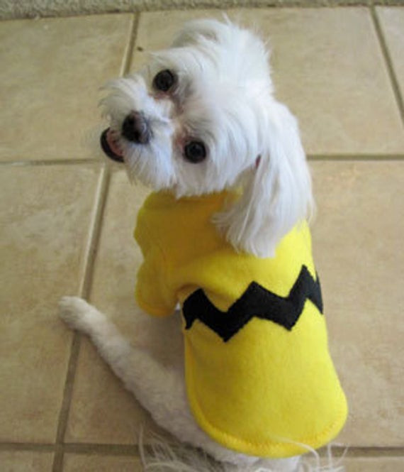 DIY Charlie Brown Costume
 Dog Costume Halloween Costume for Small Dog pet Costume