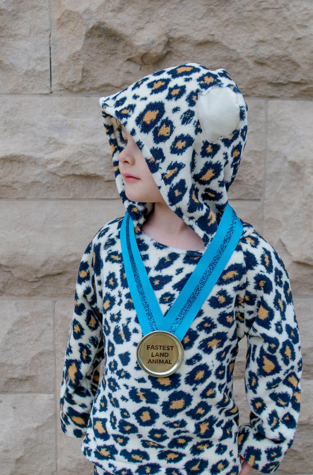 DIY Cheetah Costumes
 DIY Kids Cheetah Halloween Costume for Boys Merriment Design