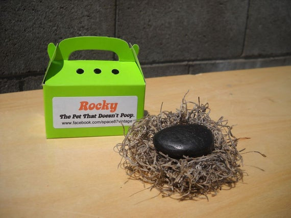 DIY Christmas Gag Gifts
 Pet rock Rocky the pet that doesn t poop gag t