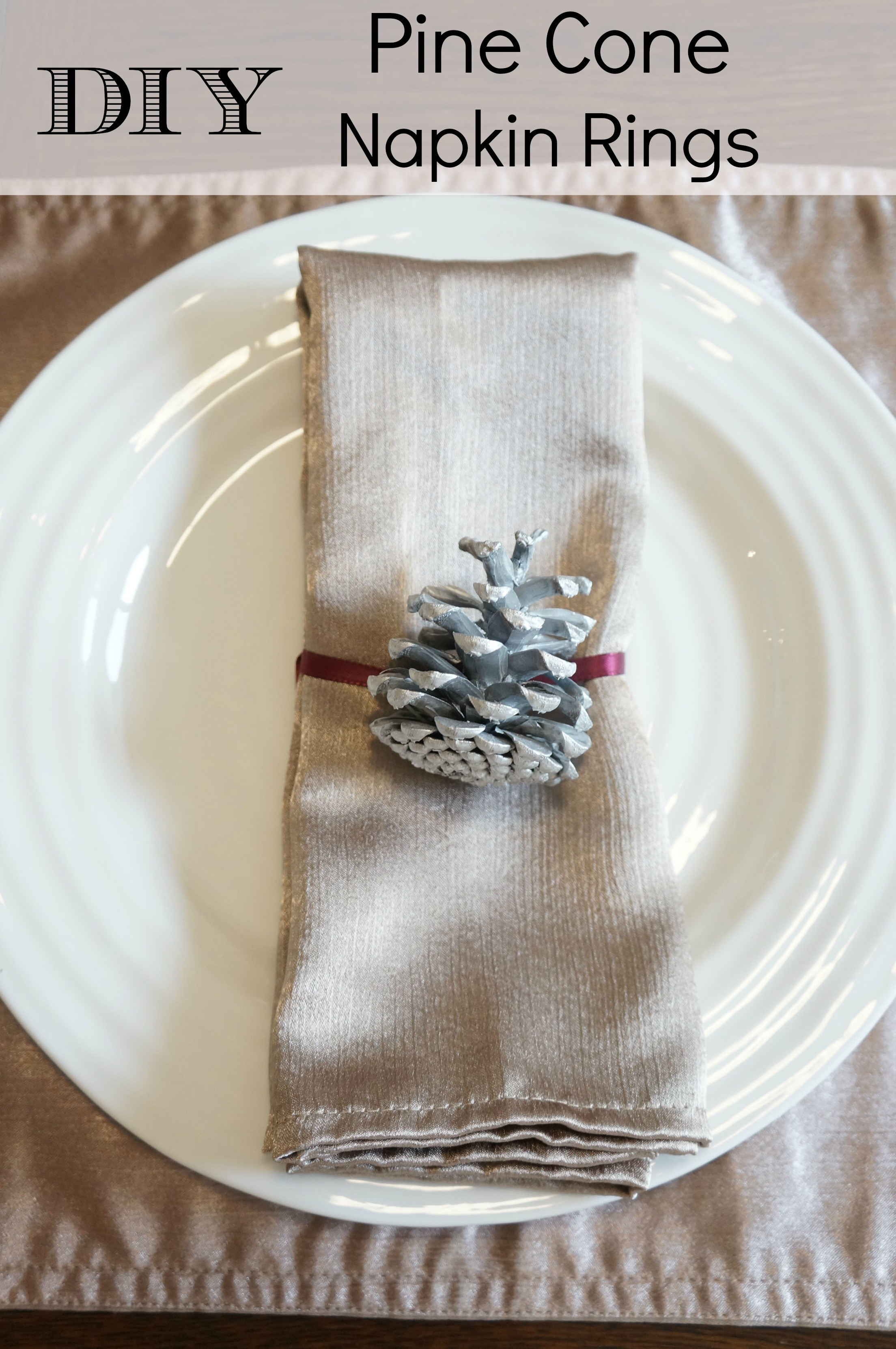 DIY Christmas Napkin Rings
 DIY Holiday Napkin Rings Meet Penny