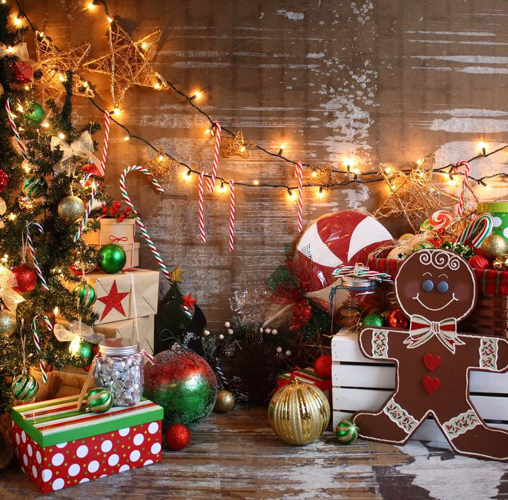 DIY Christmas Photography Backdrop
 25 best ideas about Christmas Backdrops on Pinterest