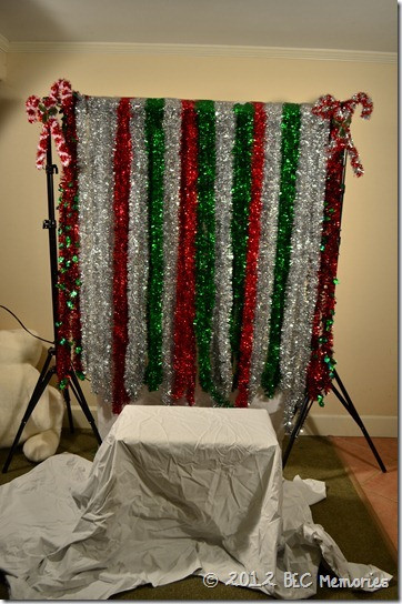 DIY Christmas Photography Backdrops
 Christmas Party Pinterest Style